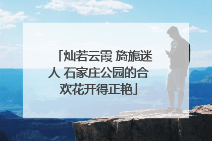 灿若云霞 旖旎迷人 石家庄公园的合欢花开得正艳