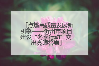 点燃高质量发展新引擎——忻州市项目建设“冬季行动”交出亮眼答卷