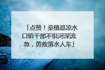 点赞！桑植县凉水口镇干部不惧河深流急，勇救落水人车