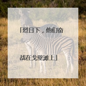 烈日下，他们奋战在戈壁滩上