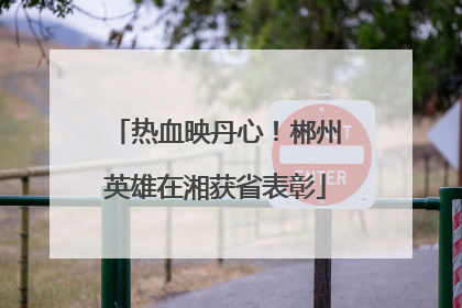 热血映丹心！郴州英雄在湘获省表彰
