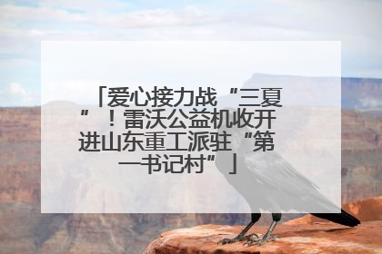 爱心接力战“三夏”！雷沃公益机收开进山东重工派驻“第一书记村”