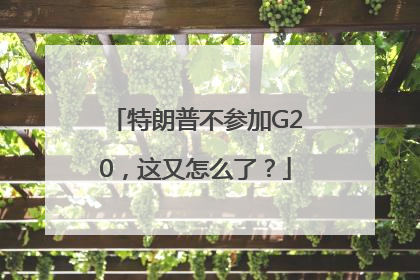 特朗普不参加G20，这又怎么了？