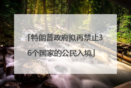 特朗普政府拟再禁止36个国家的公民入境