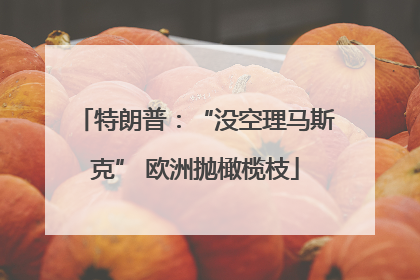 特朗普：“没空理马斯克” 欧洲抛橄榄枝