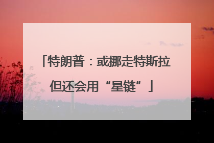 特朗普：或挪走特斯拉 但还会用“星链”