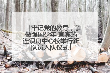 牢记党的教导，争做强国少年 宜宾筠连镇舟中心校举行新队员入队仪式