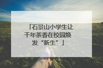 石景山小学生让千年茶香在校园焕发“新生”