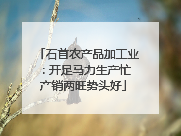 石首农产品加工业：开足马力生产忙 产销两旺势头好
