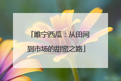 睢宁西瓜：从田间到市场的甜蜜之路