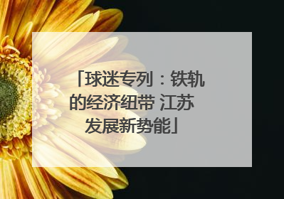 球迷专列：铁轨的经济纽带 江苏发展新势能