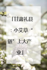 甘肃礼县：小艾草“链”上大产业