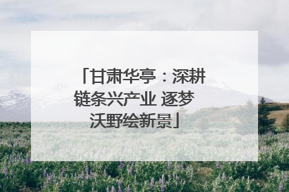 甘肃华亭：深耕链条兴产业 逐梦沃野绘新景