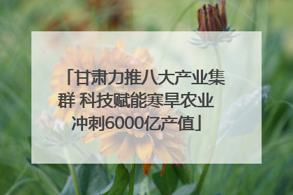 甘肃力推八大产业集群 科技赋能寒旱农业冲刺6000亿产值