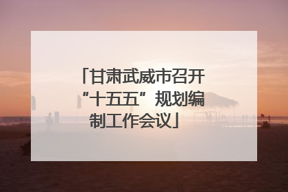 甘肃武威市召开“十五五”规划编制工作会议