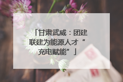 甘肃武威：团建联建为能源人才“充电赋能”