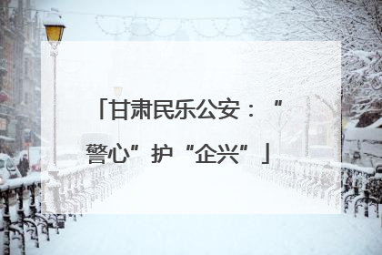 甘肃民乐公安：“警心”护“企兴”