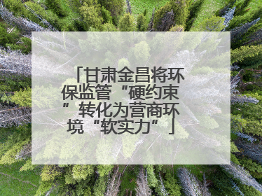 甘肃金昌将环保监管“硬约束”转化为营商环境“软实力”
