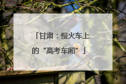 甘肃：慢火车上的“高考车厢”