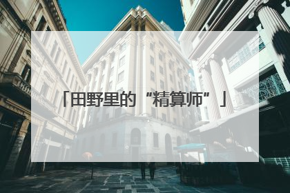 田野里的“精算师”