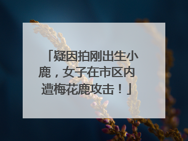 疑因拍刚出生小鹿，女子在市区内遭梅花鹿攻击！