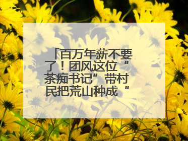 百万年薪不要了！团风这位“茶痴书记”带村民把荒山种成“绿色银行”