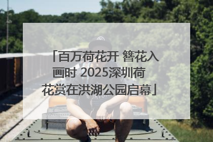 百万荷花开 簪花入画时 2025深圳荷花赏在洪湖公园启幕