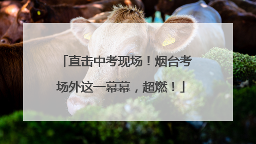 直击中考现场！烟台考场外这一幕幕，超燃！