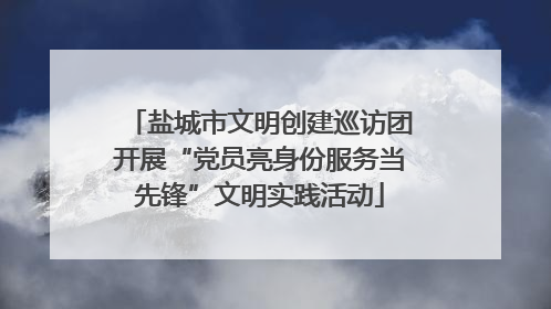 盐城市文明创建巡访团开展“党员亮身份服务当先锋”文明实践活动