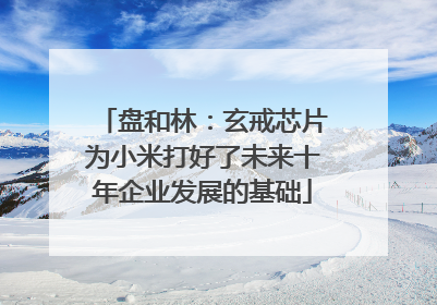 盘和林：玄戒芯片为小米打好了未来十年企业发展的基础