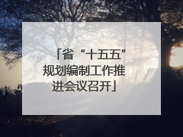 省“十五五”规划编制工作推进会议召开