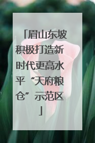 眉山东坡积极打造新时代更高水平“天府粮仓”示范区