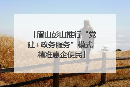 眉山彭山推行“党建+政务服务”模式 精准惠企便民