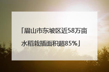 眉山市东坡区近58万亩水稻栽插面积超85%