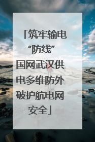 筑牢输电“防线” 国网武汉供电多维防外破护航电网安全