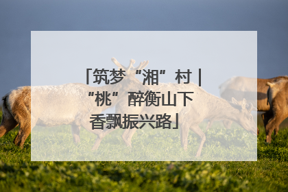 筑梦“湘”村｜“桃”醉衡山下 香飘振兴路