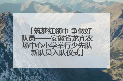 筑梦红领巾 争做好队员——安徽省龙亢农场中心小学举行少先队新队员入队仪式