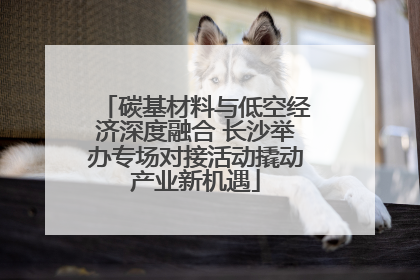 碳基材料与低空经济深度融合 长沙举办专场对接活动撬动产业新机遇