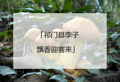 祁门县李子飘香迎客来