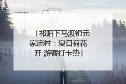 祁阳下马渡镇元家庙村：夏日荷花开 游客打卡热