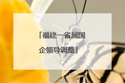 福建一省属国企领导调整