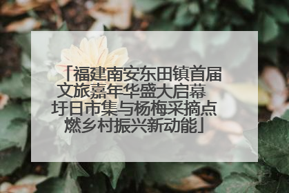 福建南安东田镇首届文旅嘉年华盛大启幕 圩日市集与杨梅采摘点燃乡村振兴新动能