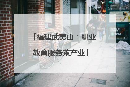 福建武夷山：职业教育服务茶产业
