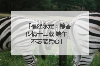 福建永定：粽香传情十二载 端午不忘老兵心