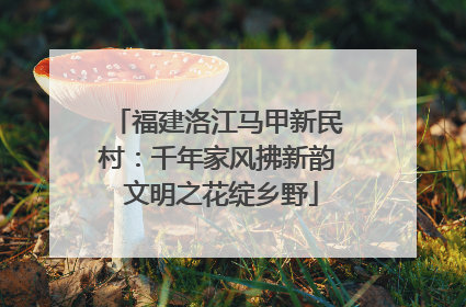福建洛江马甲新民村：千年家风拂新韵 文明之花绽乡野