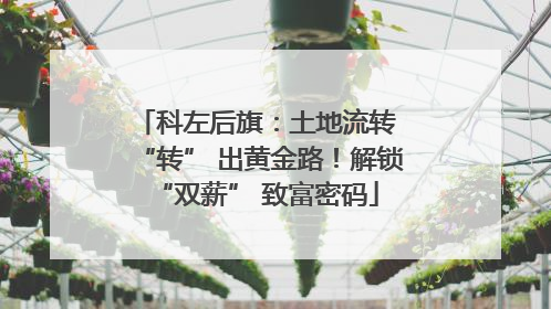 科左后旗：土地流转 “转” 出黄金路！解锁 “双薪” 致富密码