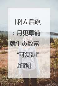 科左后旗：月见草铺就生态致富“可复制”新路