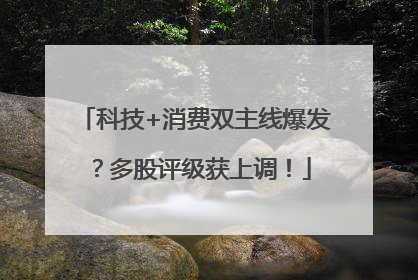 科技+消费双主线爆发？多股评级获上调！