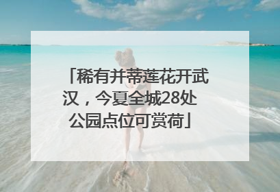 稀有并蒂莲花开武汉，今夏全城28处公园点位可赏荷