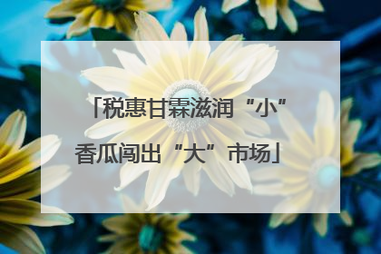 税惠甘霖滋润“小”香瓜闯出“大”市场